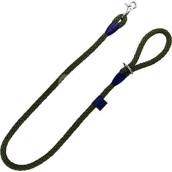 Correa de nylon para perros verde oscuro 120 cm