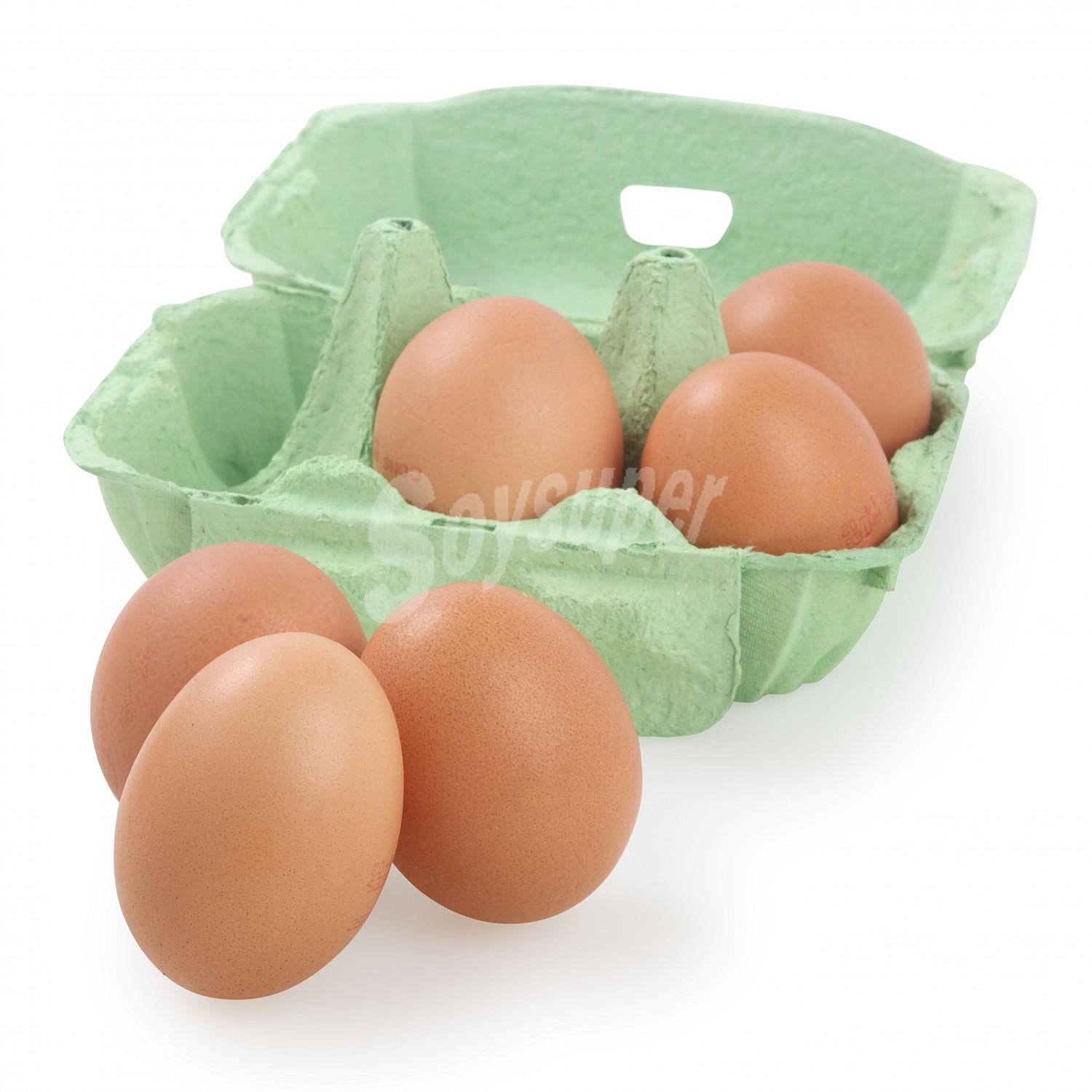 Huevos M-L ecológicos Carrefour Bio