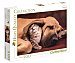 Puzzle Perro y gato Cuddles con 500 piezas, High Quality Collection clementoni.