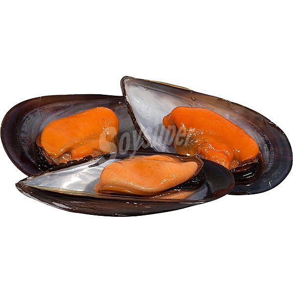 Mejillones naturales seleccionados con concha