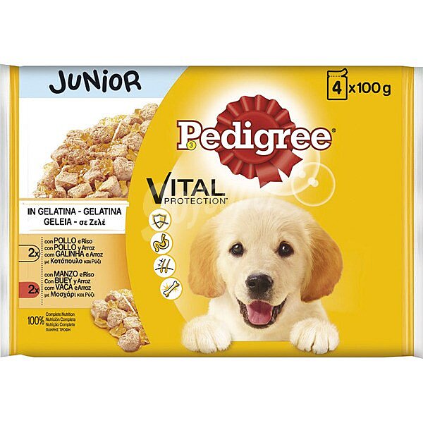 Comida para perro junior húmedo a base de pollo gelatina