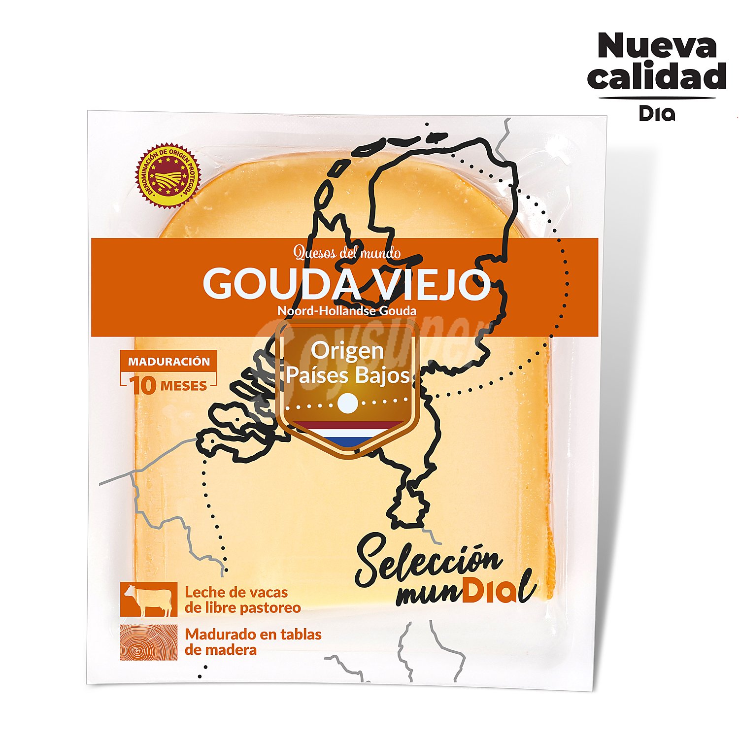 Queso gouda añejo envase 200 gr