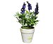 Maceta decorativa con planta de lavanda artificial color morado, 15 cm, essencial