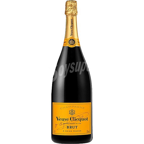 Champagne brut Estuche magnum