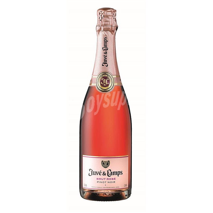 Cava Brut Rosé juve Y camps