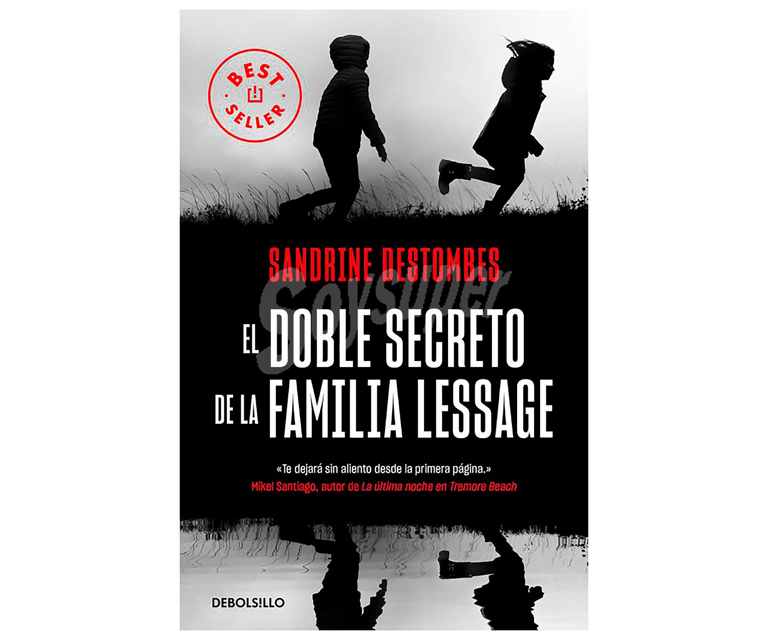 El doble secreto de la familia Lessage, sandrine destombes, libro de bolsillo. Género: novela negra.