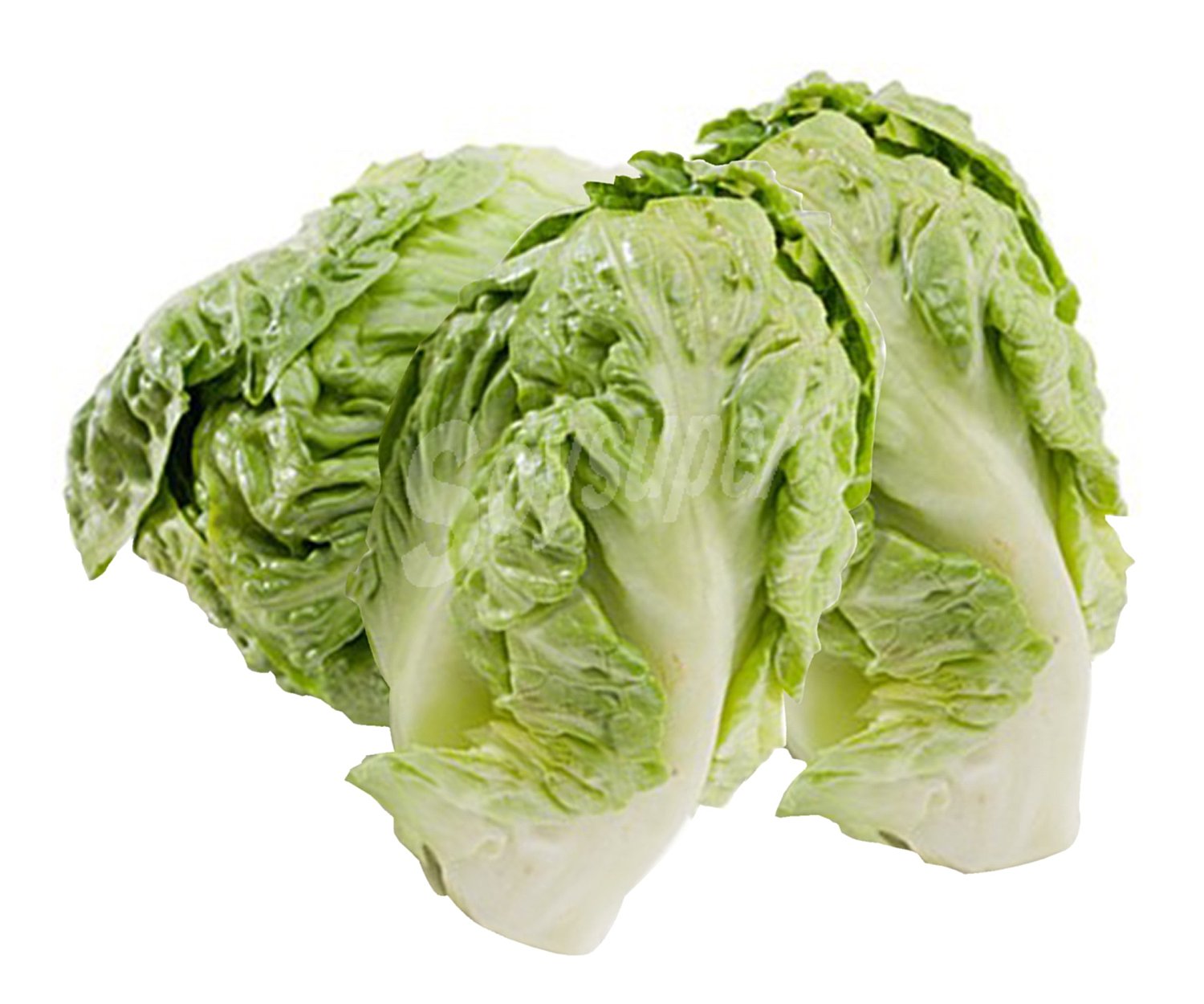 Cogollos de lechuga