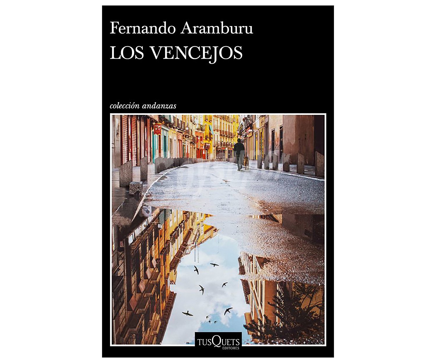 Los Vencejos, fernando aramburu. Género: narrativa. Editorial Tusquets.