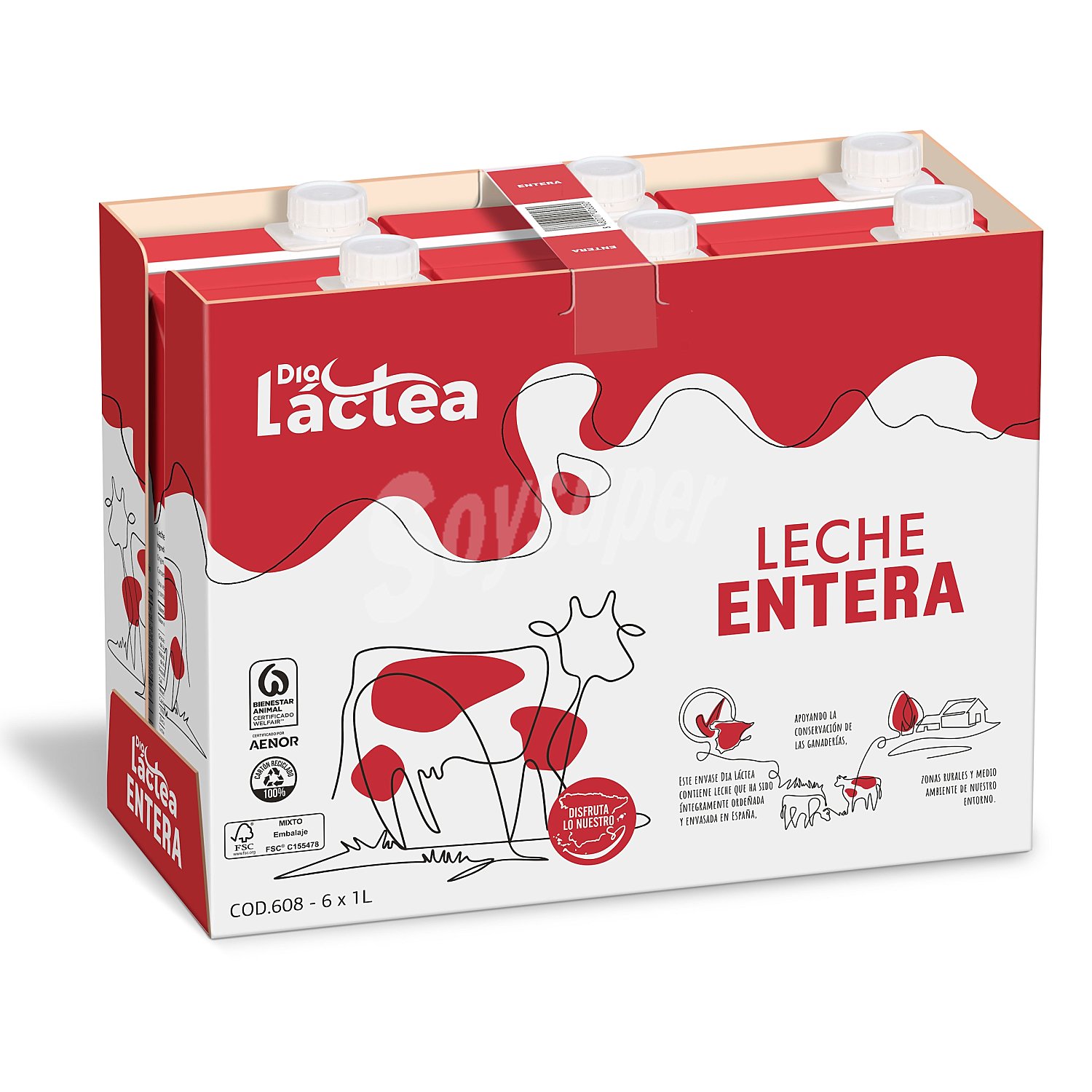 Leche entera Dia Láctea brik