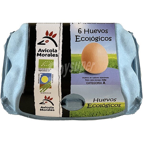 Huevos ecológicos categoría A clase M-L