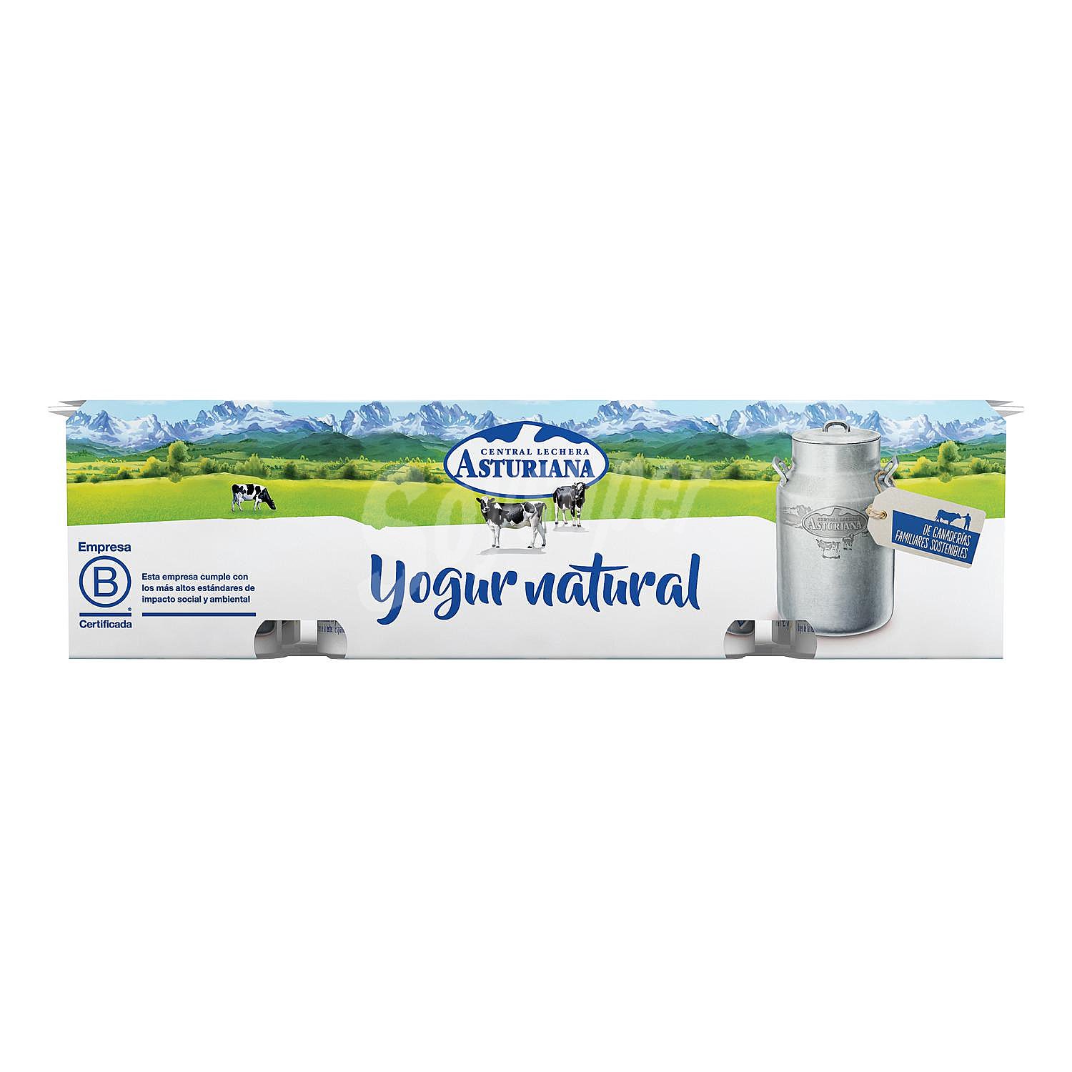 Yogur de sabor natural