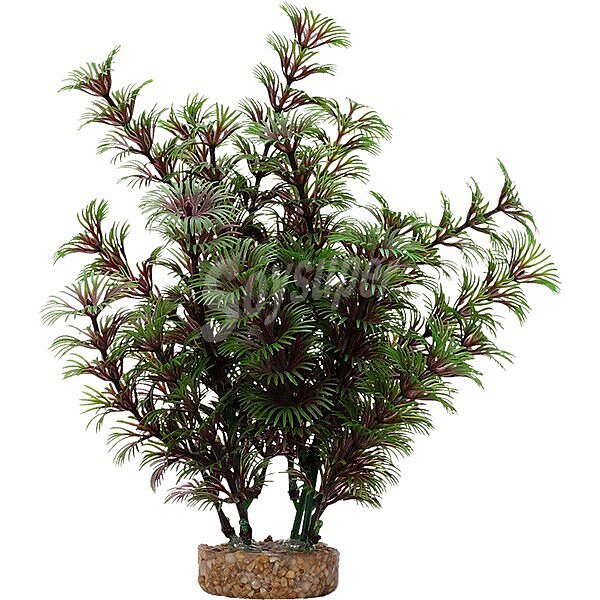 Planta decorativa 20 cm cabomba roja 1 unidad