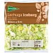 Lechuga iceberg 