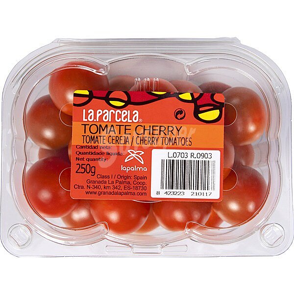 Tomate cherry