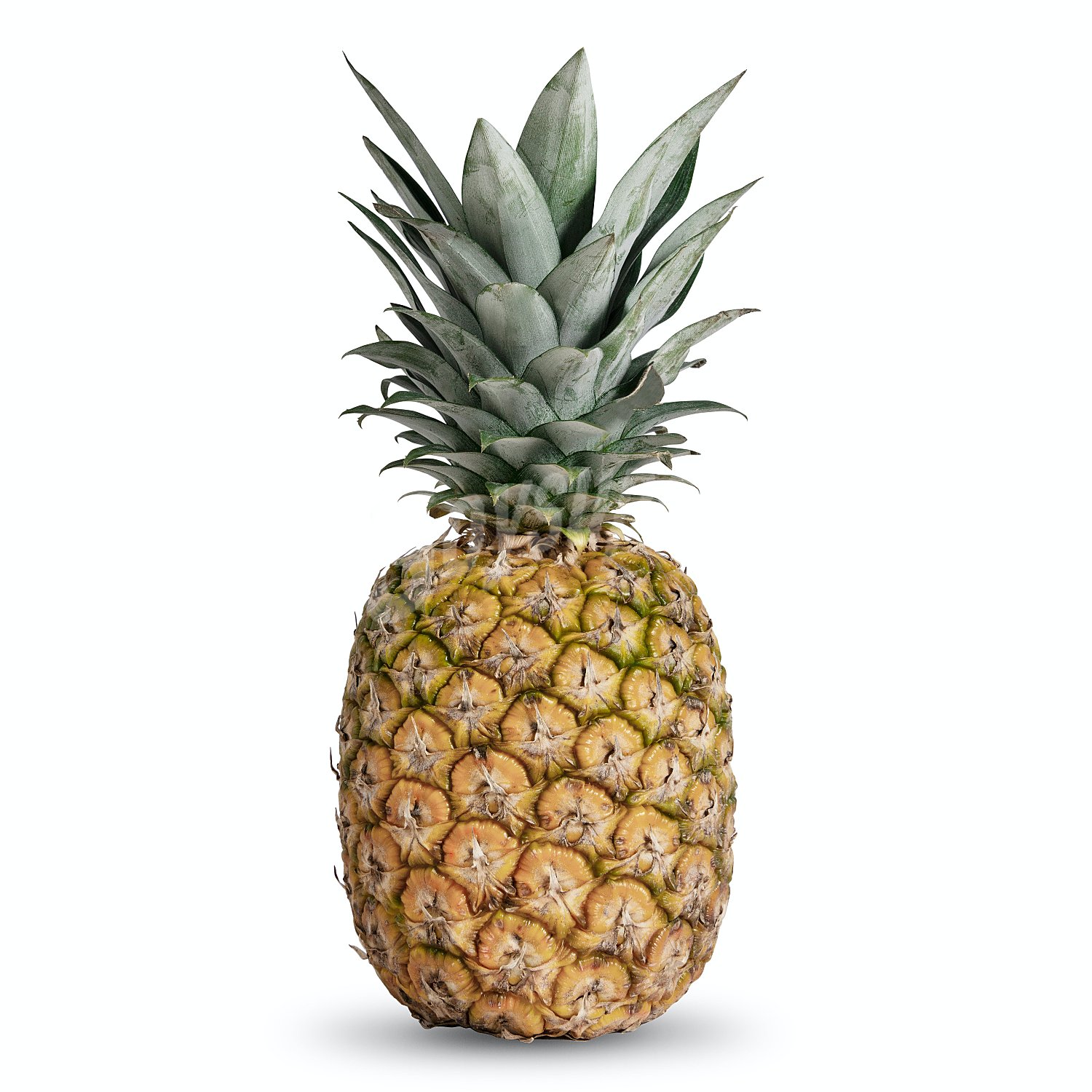 Piña