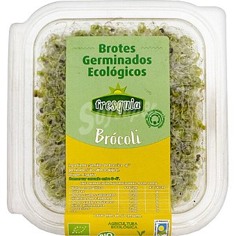 Brotes germinados de brócoli ecológicos